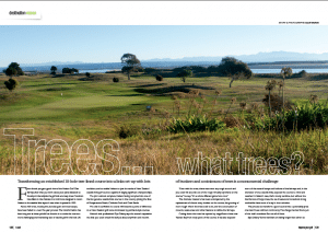 Nelson Golf Course, transition to a true Links