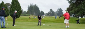 Nelson Festival of Golf NZ