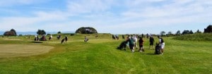 Nelson Festival of Golf NZ